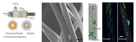 Microfluidic Future Spin Silk Like A Spider No Legs Required Just