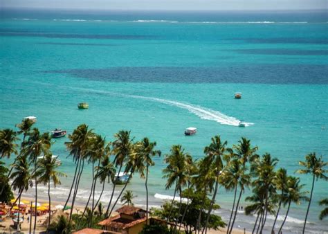 Praia Do Maragogi - Praia de Maragogi: o Caribe brasileiro no litoral norte de Alagoas ...