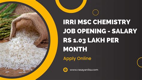 Irri Msc Chemistry Job Salary Rs Lakh Per Month