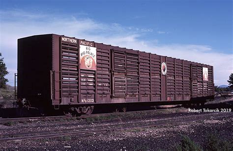 Big Pig Palace July 5 1977 Np 84303 Is An Old Livestock Flickr