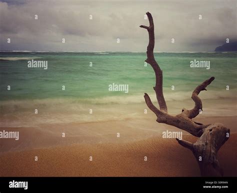 Hawaii Beach Bikini Hi Res Stock Photography And Images Alamy