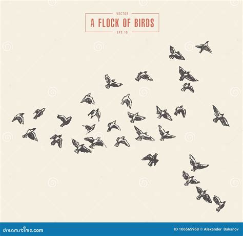 A Flock Of Birds Drawn Vector Illustration Sketch Stock Vector