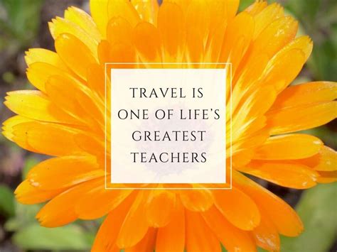 Educational Travel Quotes To Inspire Learning And Traveling The World