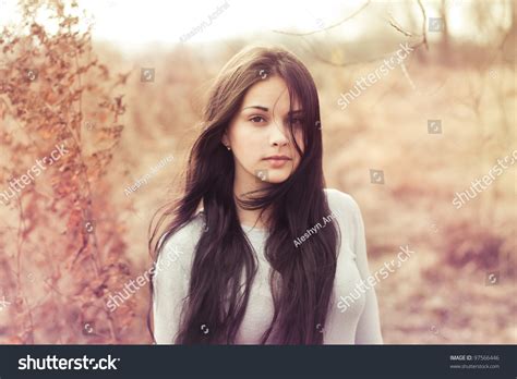 Beautiful Brunette Field On Sunny Day Stock Photo 97566446 Shutterstock