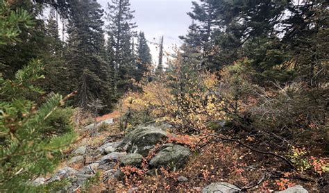 Payette Rim Trail Mccall Idaho