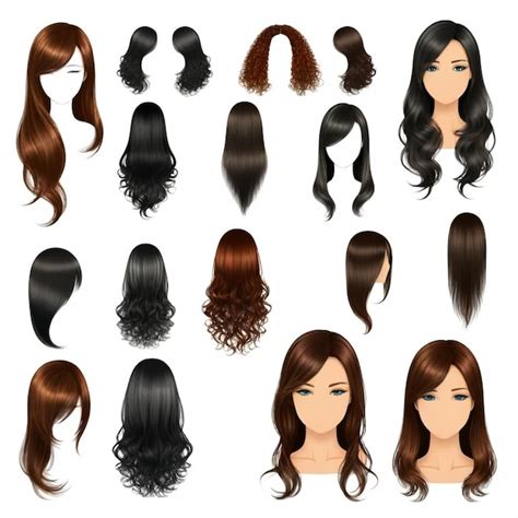 Premium Vector A Picture Of A Womans Hair With Different Styles Of Hair