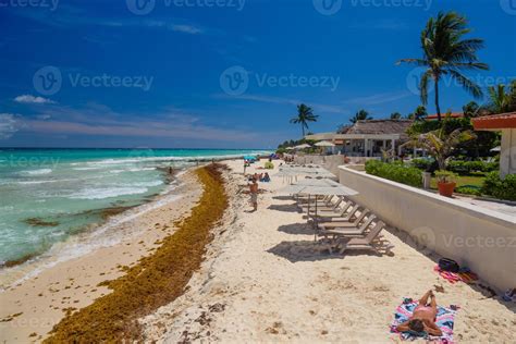 dame en bikini string sexy prenant un bain de soleil sur une plage de sable avec des algues à