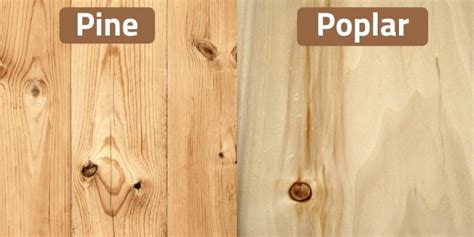 Poplar Wood Vs Pine How Are They Different Woodsmith Spirit