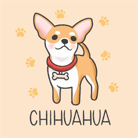 Adorable Chihuahua Kawaii L Sanpiero