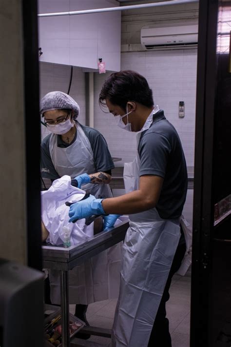 The Art And Science Of Embalming Bodies And Everything Else You Need