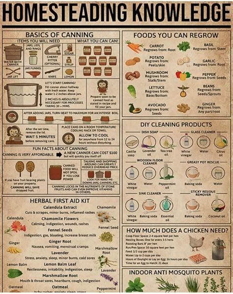 The complete list of long lasting survival foods free printable – Artofit