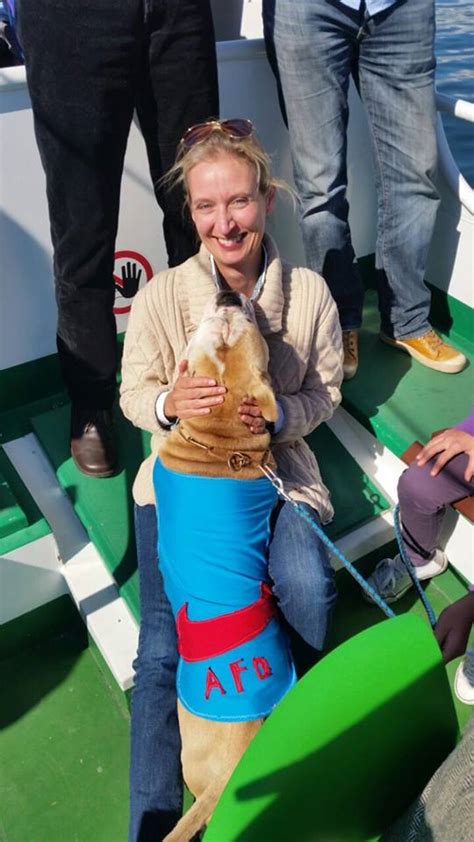 10 Hot Sexy Alice Weidel Bikini Pics