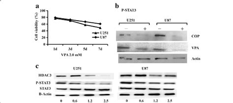 Cop Induced Protein Expression In U251 And U87 Cells U251 And U87 A