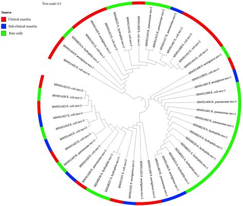 Frontiers Virulence Determinants And Plasmid Mediated Colistin