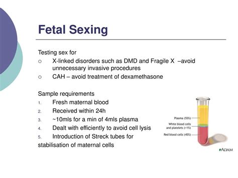 Ppt Free Fetal Dna Powerpoint Presentation Free Download Id 5487344