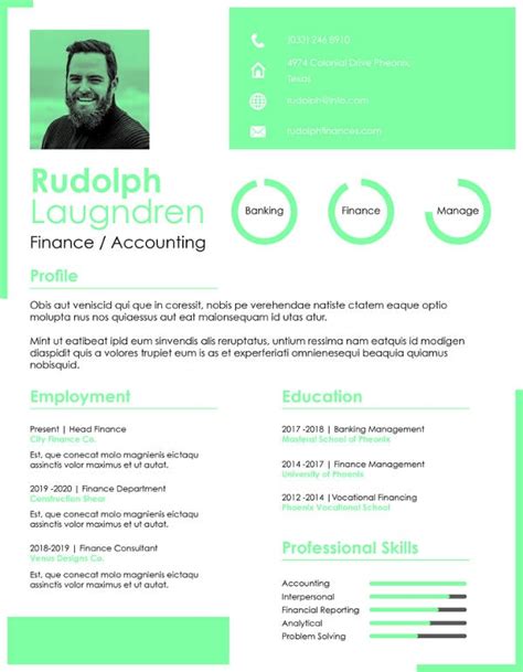 finance resume templates