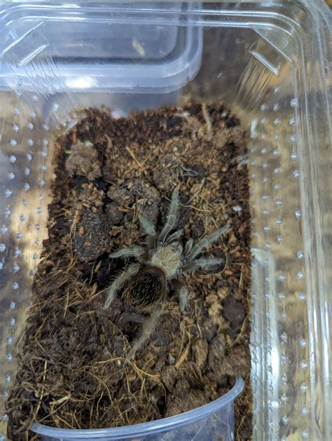 Manchester Pets & Aquatics Services and Information 25