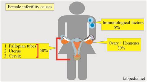 Semen Part 4 Work Up For Fertility Work Up Of Infertile Couple