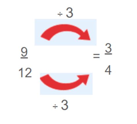 What are Equivalent Fractions? Definition & Examples | Teaching Wiki 
