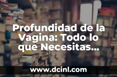 Profundidad De La Vagina Todo Lo Que Necesitas Saber