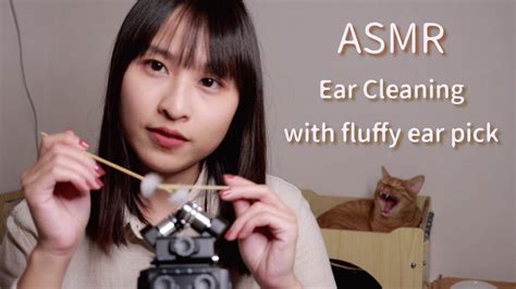 【asmr】鵝毛棒清潔耳朵｜asmr Ear Cleaning With Fluffy Ear Pick No Talking Youtube