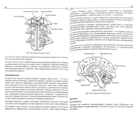 Иллюстрация 1 из 32 для ЕГЭ по биологии. Практическая подготовка ...
