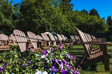 Marymoor Park Concerts: Guide to the Live Music Venue 3