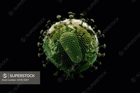 Scanning electron microscope styled HIV cell. - SuperStock