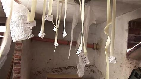 Threesome With My Roommate A Slut Gets Her Ass Opened Blowjob Blowjob Porn XHamster