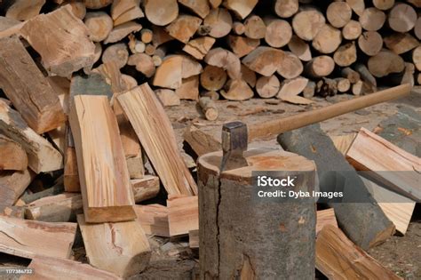 Proses Memotong Kayu Cara Memotong Atau Memotong Kayu Bahan Bakar Padat