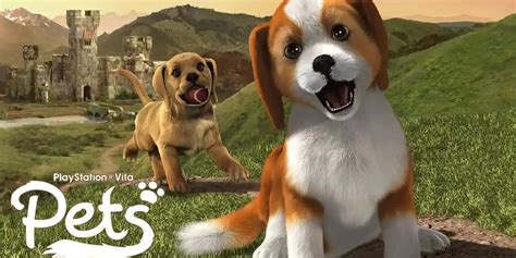 The Best Playstation Vita Simulation Games