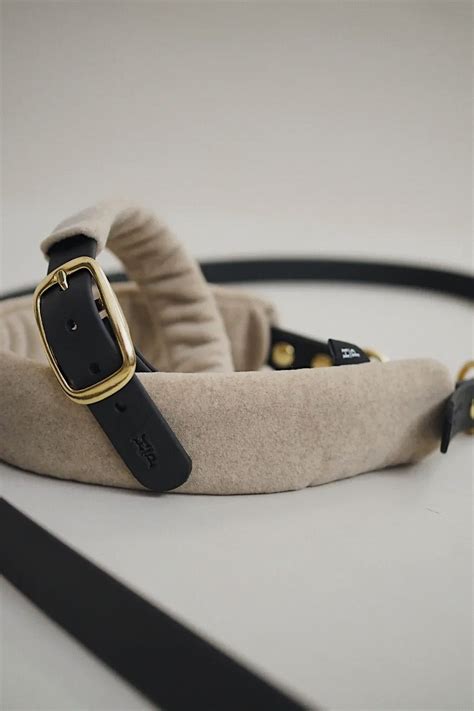 Аксессуары для собак купить интернет-магазин | Stylish dog collar ...