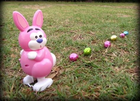 Blog Why Do Rabbits Thump