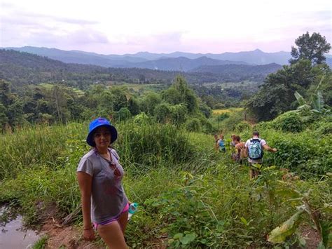 Jungle Trekking Chiang Mai Aktualisiert Lohnt Es Sich Mit Fotos