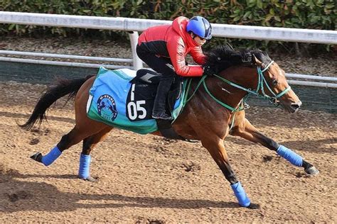 【スプリングs】ヴィクティファルス中山で輝く 池添「力を出せるはず」 ライブドアニュース