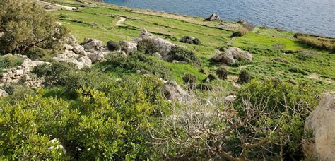 Séjour linguistique adultes à Linguatime à Sliema à Malte