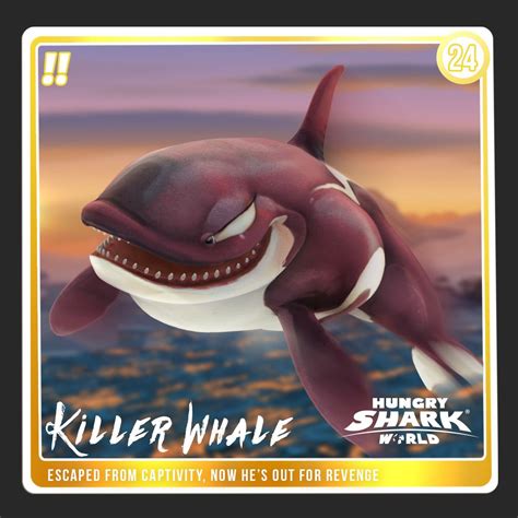 Killer Whale Hungry Shark Wiki Fandom