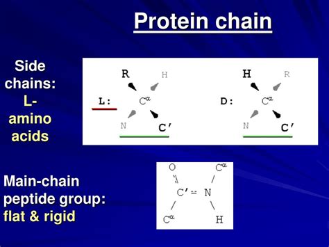 PPT PROTEIN PHYSICS LECTURE 1 Introduction Overview PowerPoint