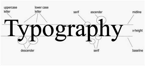 graphic design  unit  lesson  typography  design