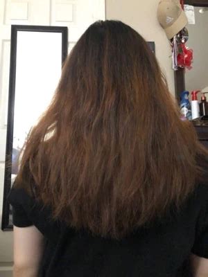 L Oreal Paris Le Color Gloss One Step In Shower Hair Toning Gloss Cool Brunette 4 Fl Oz Target