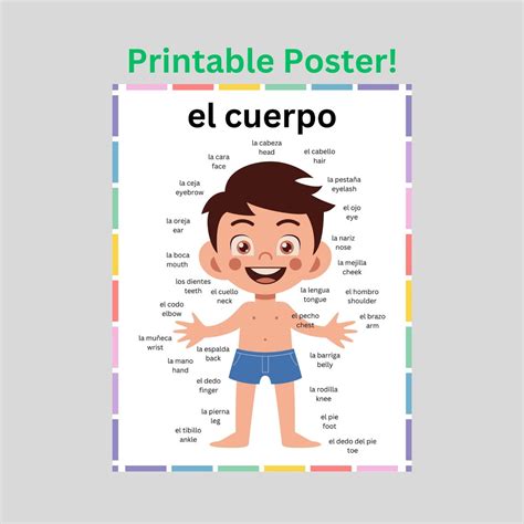 Body Parts In Spanish And English Poster Download Spanish Basics