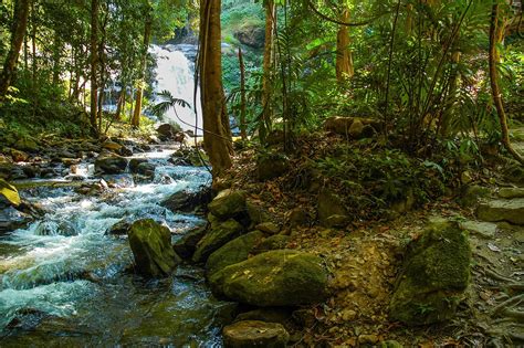river landscape  photo  pixabay