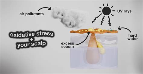 Scalp health technology will soon improve hairstyles braids and twists 11