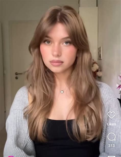 Teddy Bear Blonde Dark Blonde Hair Color Pale Skin Hair Color Light Brunette Hair