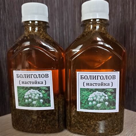 Болиголов настойка - купить по выгодной цене в официальном интернет ...