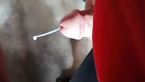 Erecto Bulto Free Solo Man Porn Video XHamster