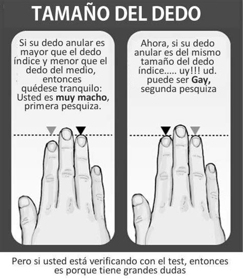 Los Test Para Saber Si Eres Gay LGBT Amino