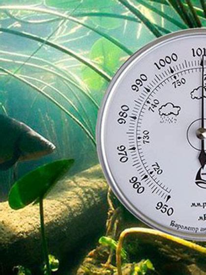 Как атмосферное давление влияет на клев - Клуб Маямi