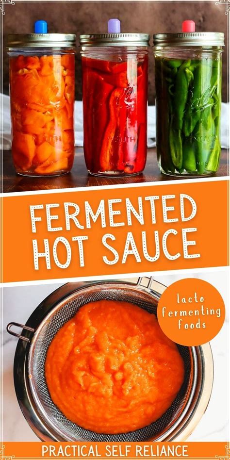 How To Make Fermented Hot Sauce With Dried Peppers Artofit