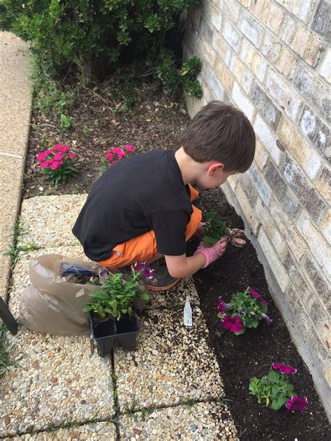Sheltering in Place: 18 Ideas to Keep Yourself Sane & Your Children ...